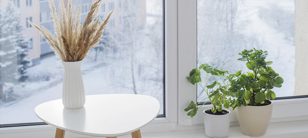 Обслуживание окон Rehau перед зимой | СтройОкно